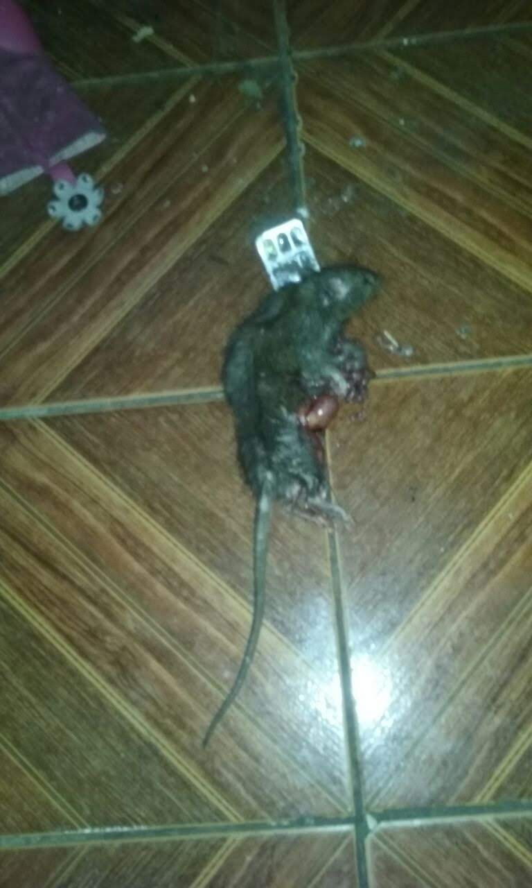 Imagen servicio